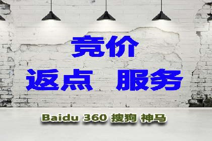 成功SEM竞价托管案例分析报告